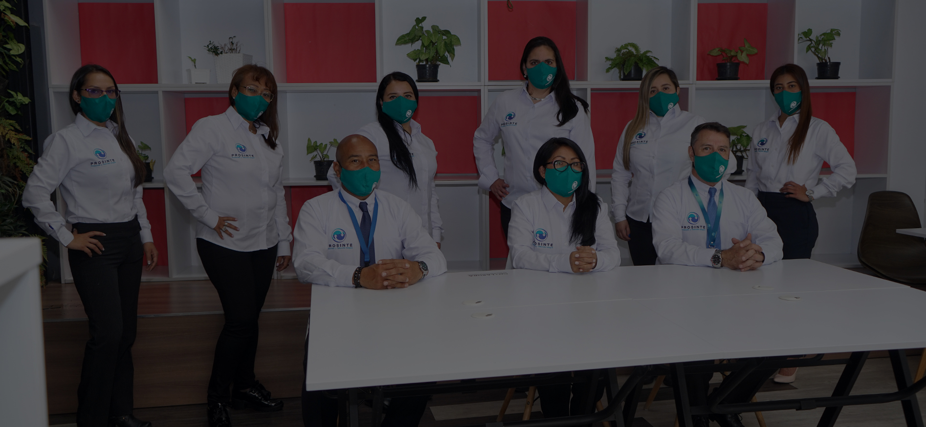 banner-img-3_prosinte